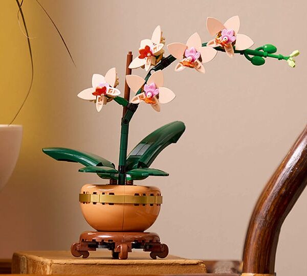 10343 Mini Orquídea