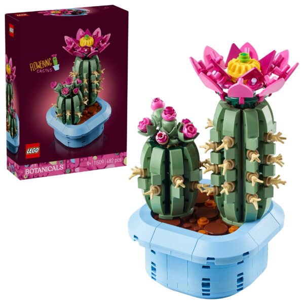11509 Cactus en Flor