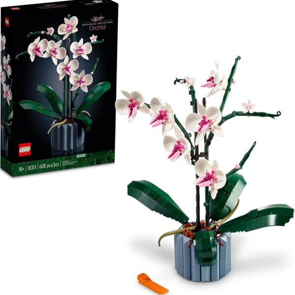 10311 Orquídea