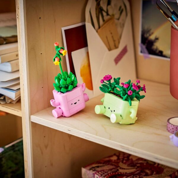 11506 Plantas Bailarinas