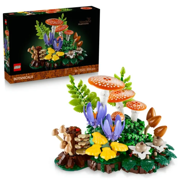 11505 Setas del Bosque