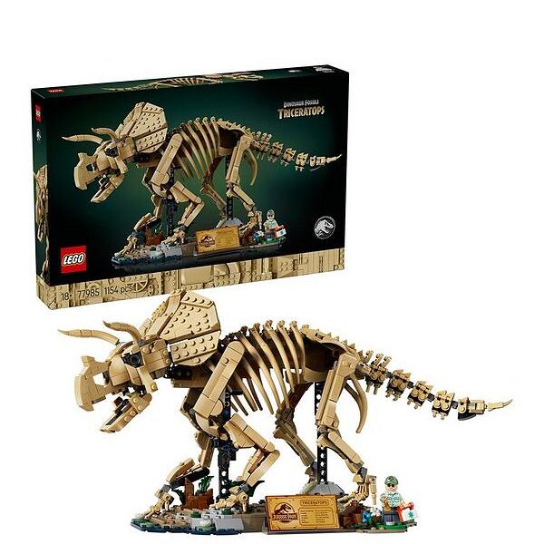 77985 Fósiles de Dinosaurio Triceratops