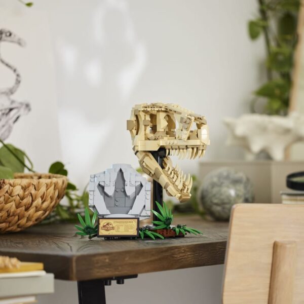 76964 Fósiles de dinosaurios: T Rex
